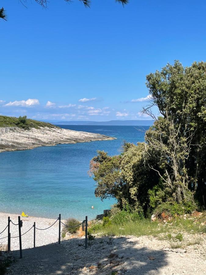 Moderne Istrische Steinvilla - 4 Sterne Mit Privatem, Beheizbaren Pool & Meerblick Kavran エクステリア 写真